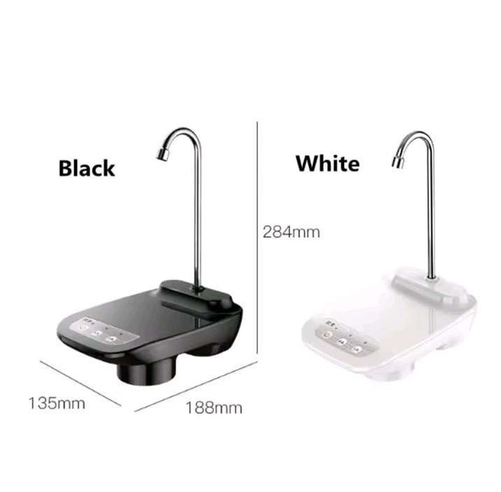 Automatic water pump