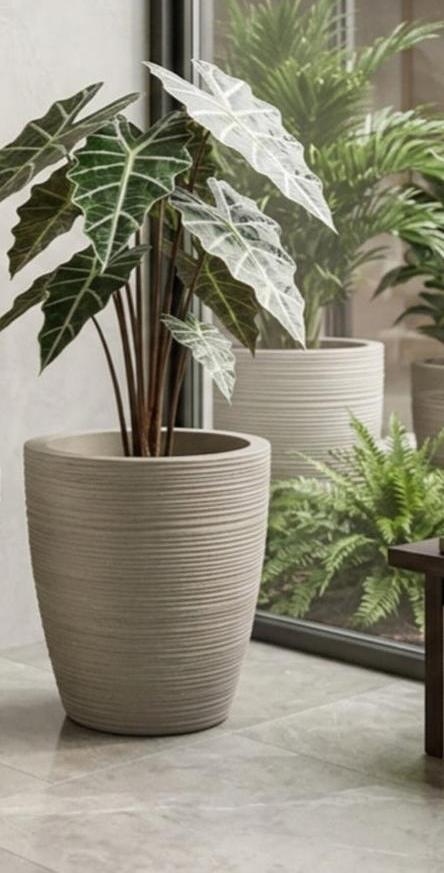 Tall Tapered Planter (1pc)