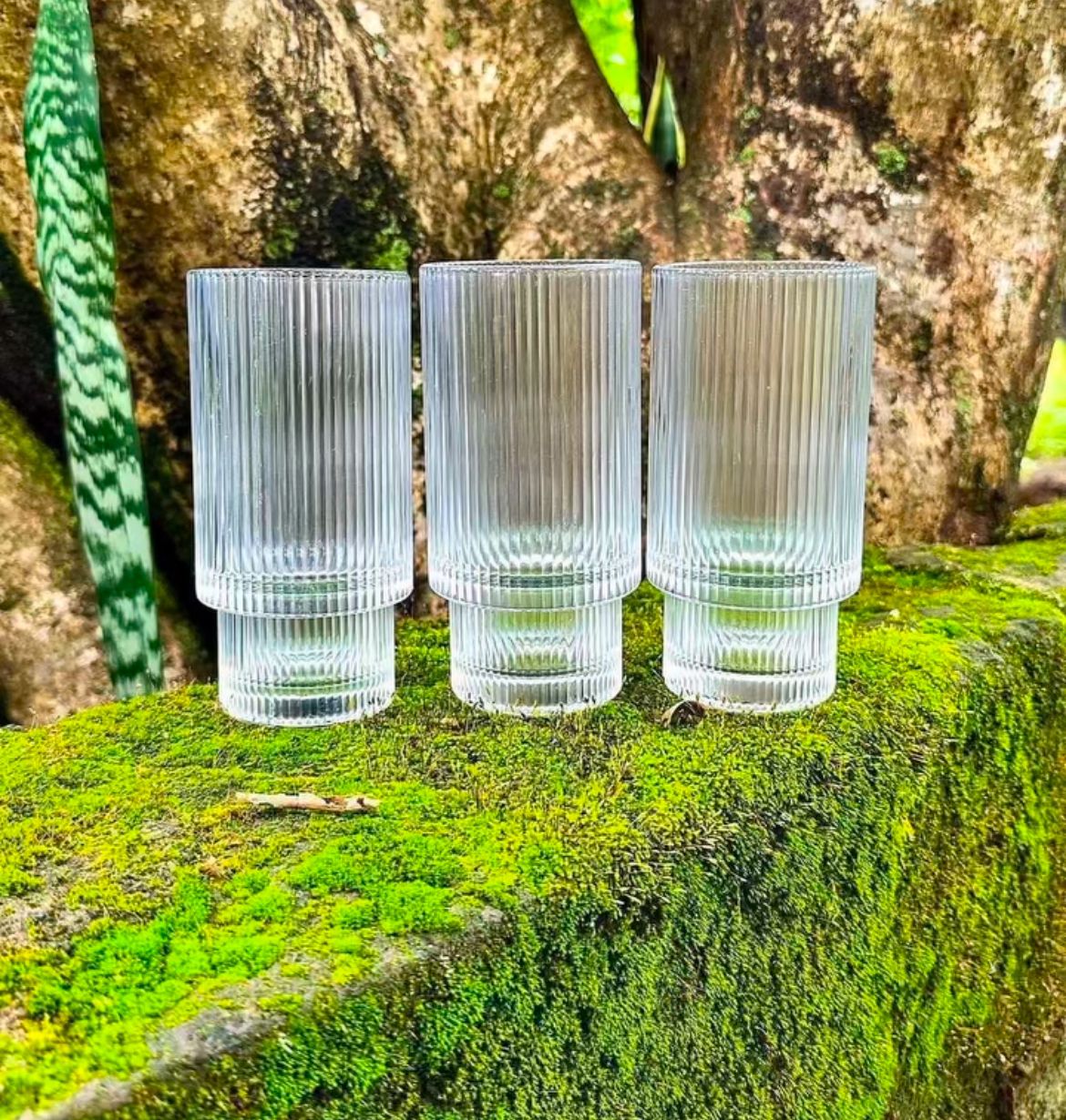 Fancy Aesthetic Highball crystal ribbed  glasses