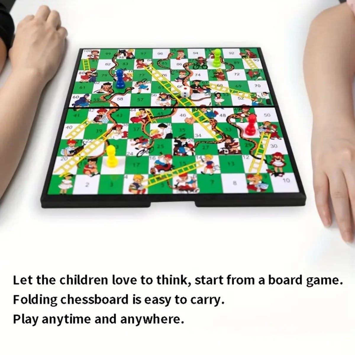 Snake and Ladder Magnetic Gameboard