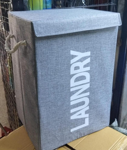 Laundry organizer/basket with lid