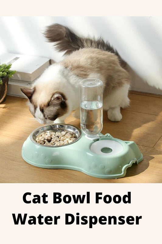 Automatic single pet bowl plus water dispenser