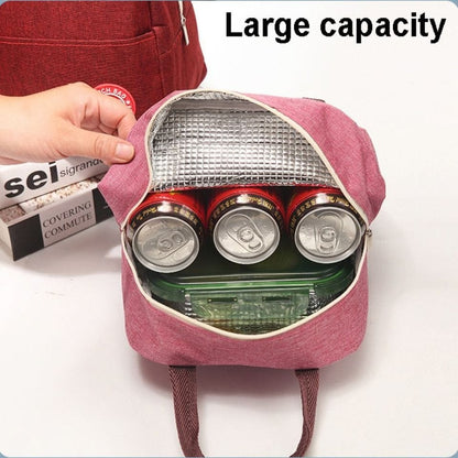 Brivilas insulated food bag size 23x13x20cm