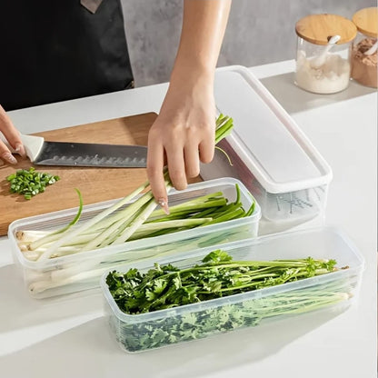 Refrigerator herb storage boxes/ fresh keeping crisper organizer with lid 1pc