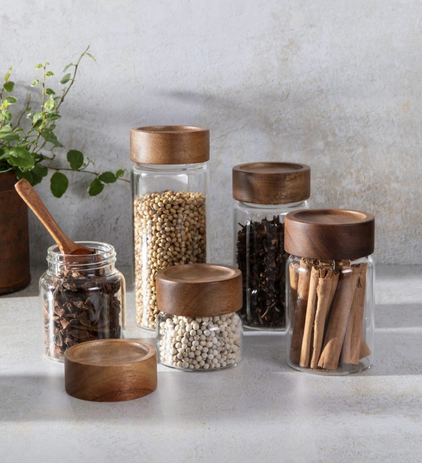 High Borosilicate glass Jars with Acacia Air tight lids